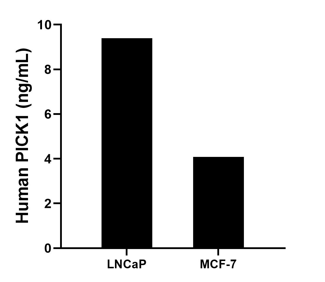 Sample test of MP00068-3